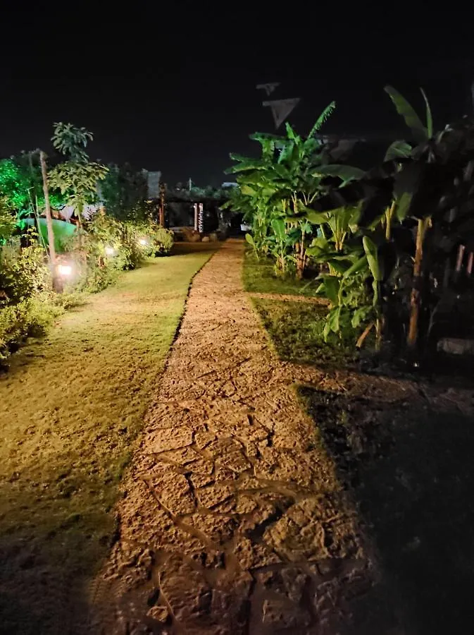 Guesthouse Vila Druri Dhermi