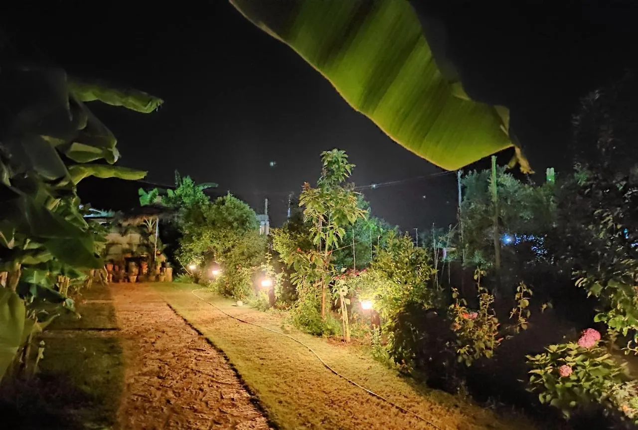 Guest house Guesthouse Vila Druri Dhermi