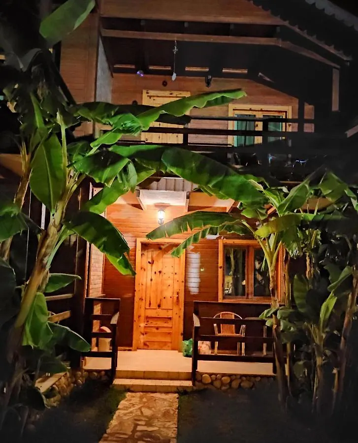 Guest house Guesthouse Vila Druri Dhermi