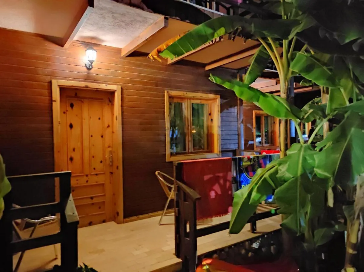Гостевой дом Guesthouse Vila Druri Дхерми Албания